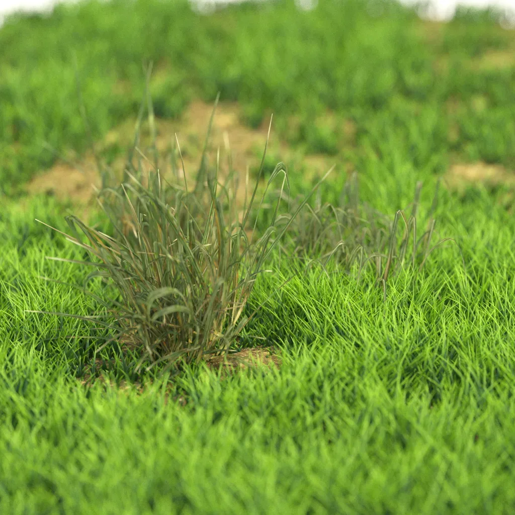 10 Plants Bush 91-100