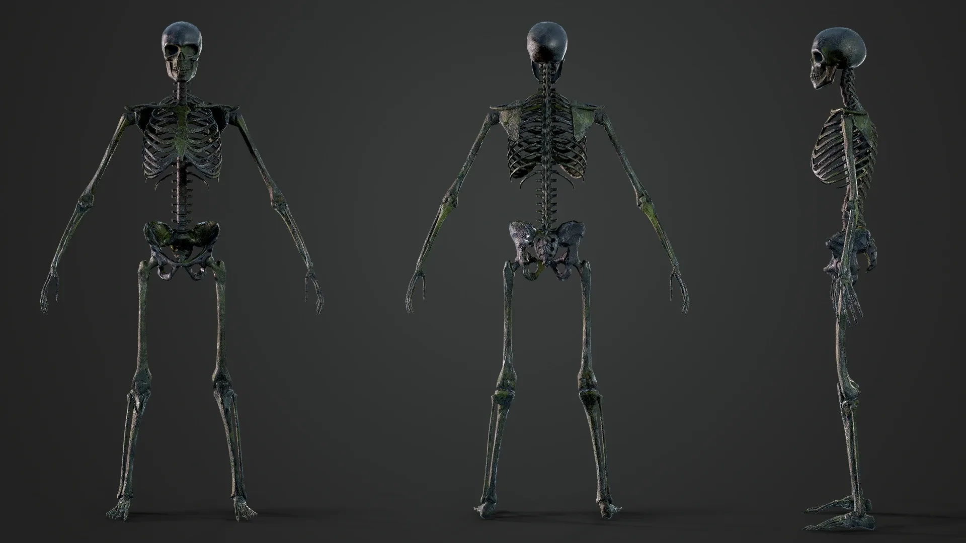 Skeleton Game Ready
