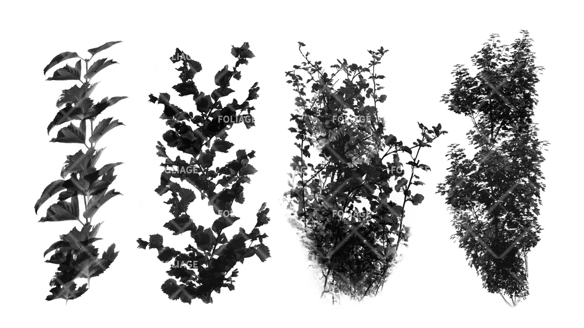 Foliage Brush Set