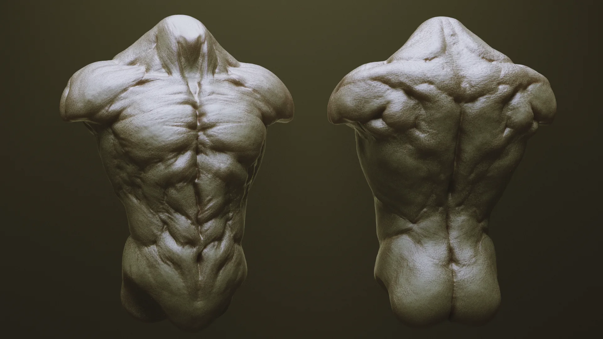 Torsos - 33 Character & Creature Zbrush Insertmesh Brush