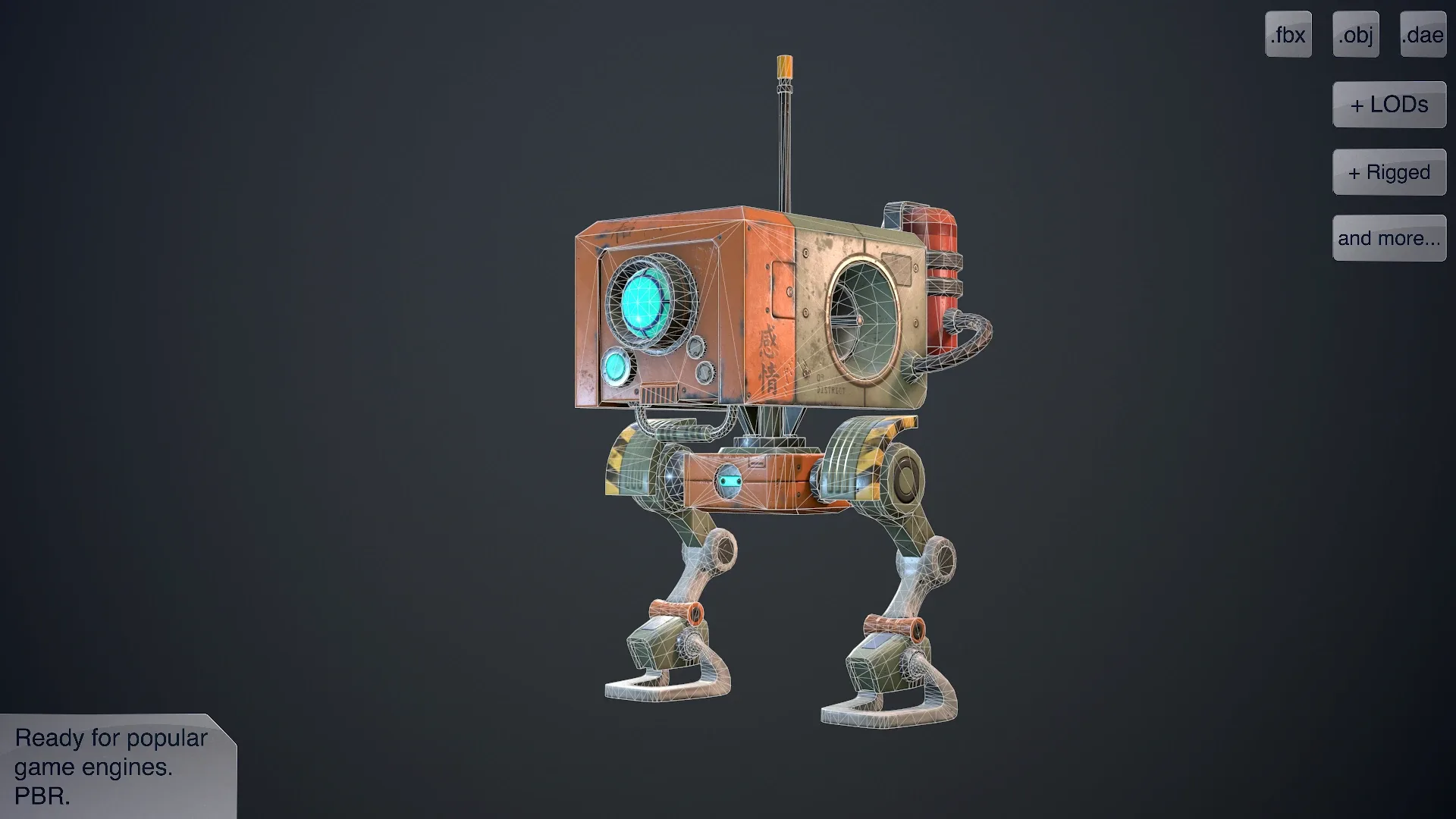 Wanderer Robot