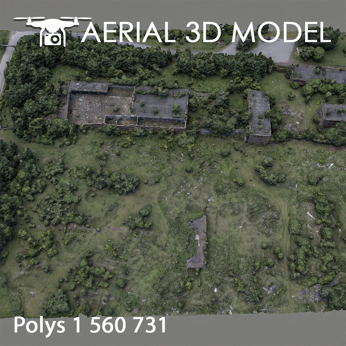 Aerial Scan 61