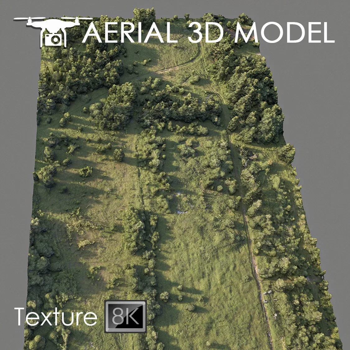 Aerial Scan 78