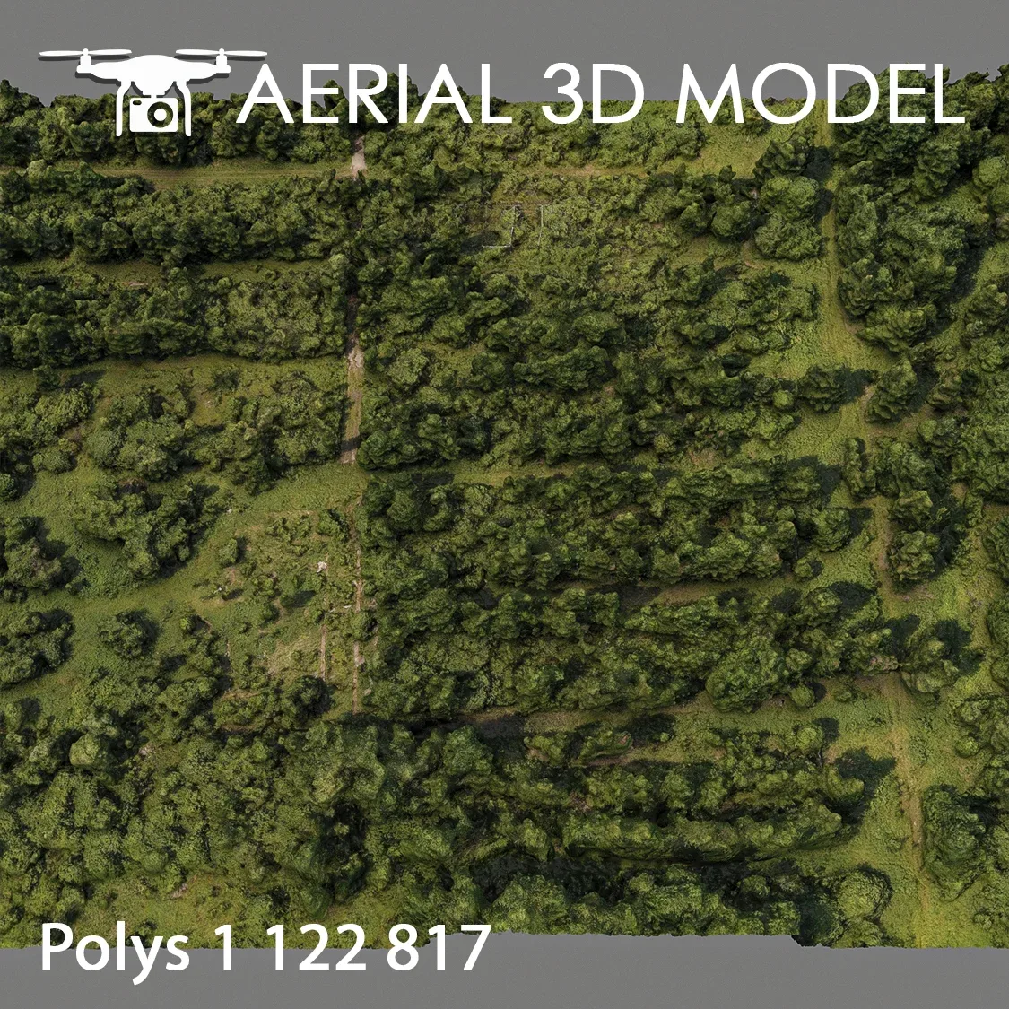 Aerial Scan 81