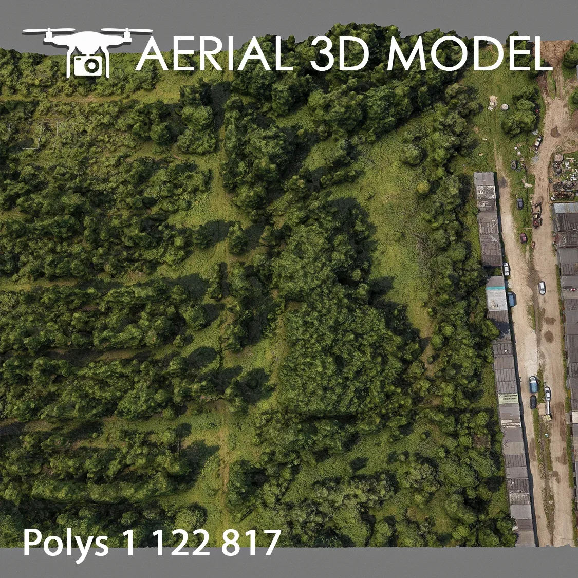 Aerial Scan 81