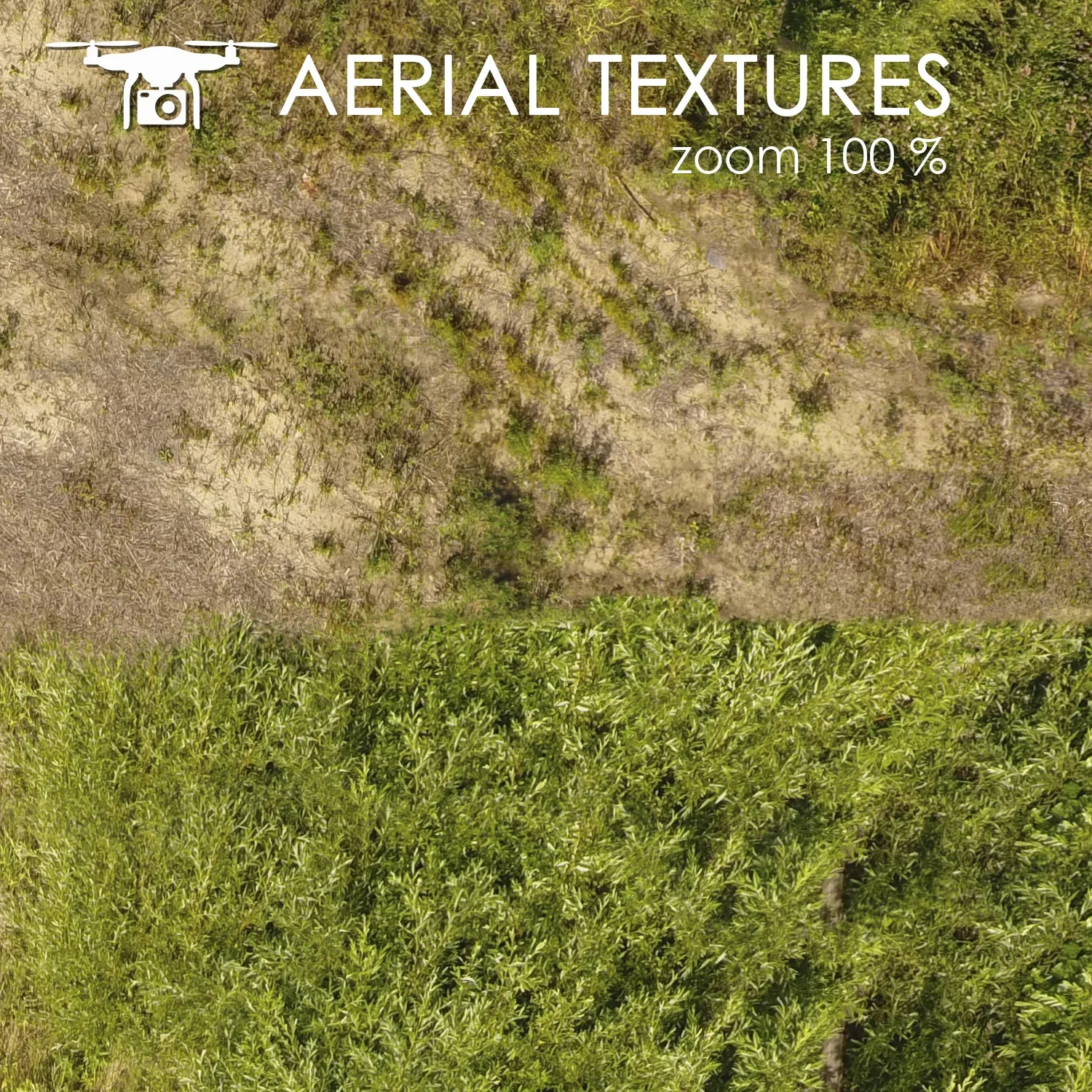 Aerial Texture 314