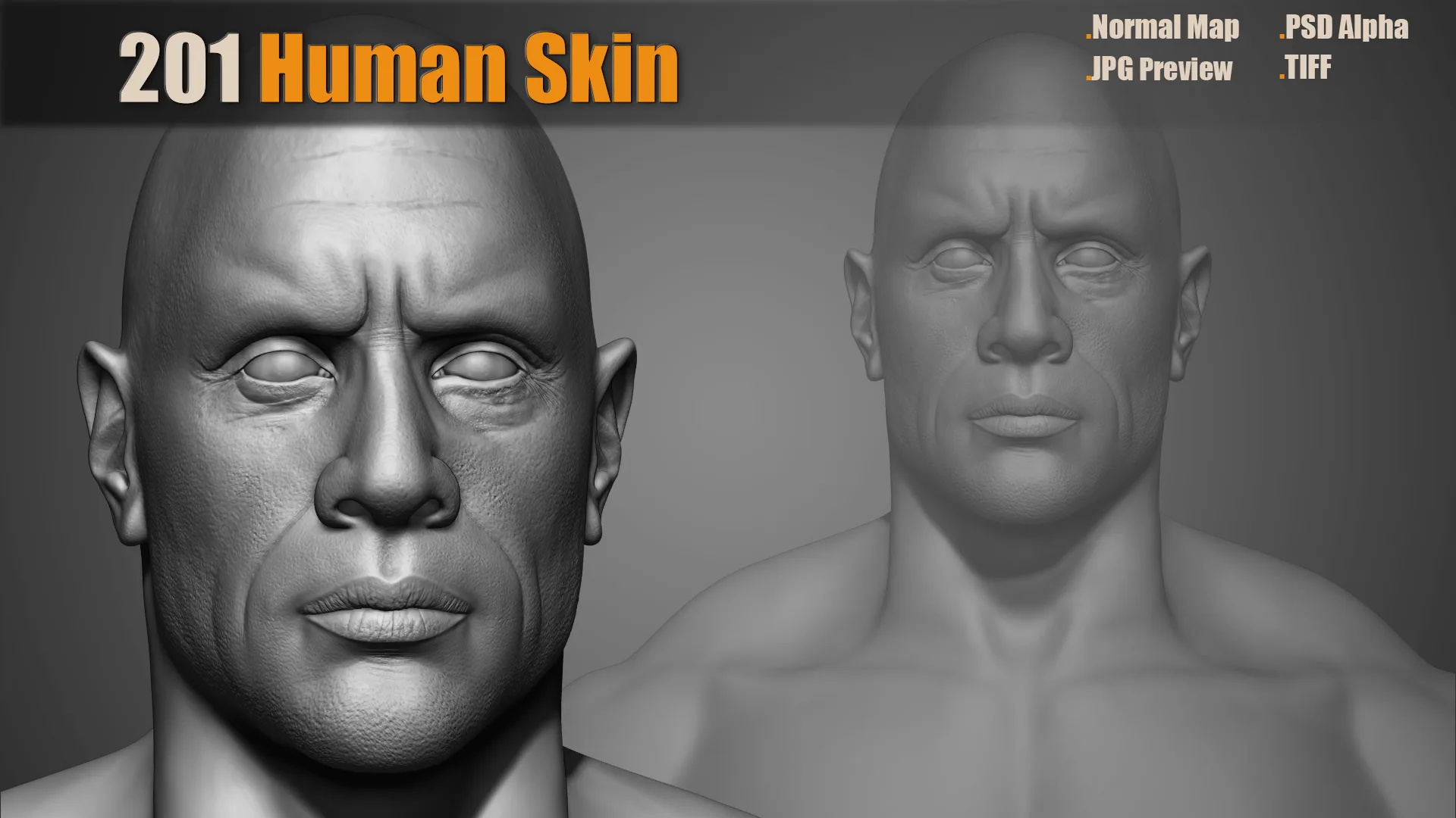 201 Human Skin Brushes