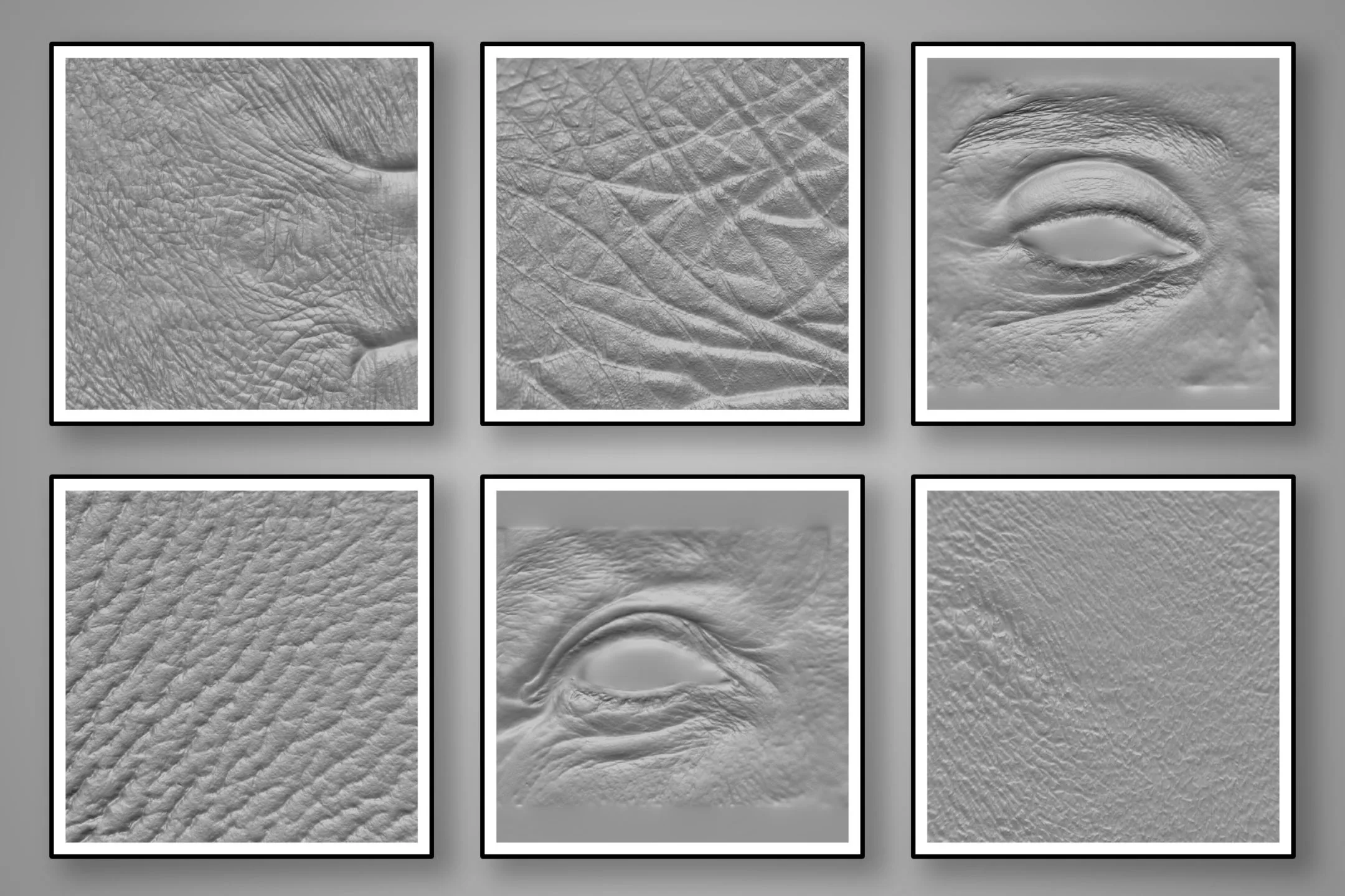 201 Human Skin Brushes