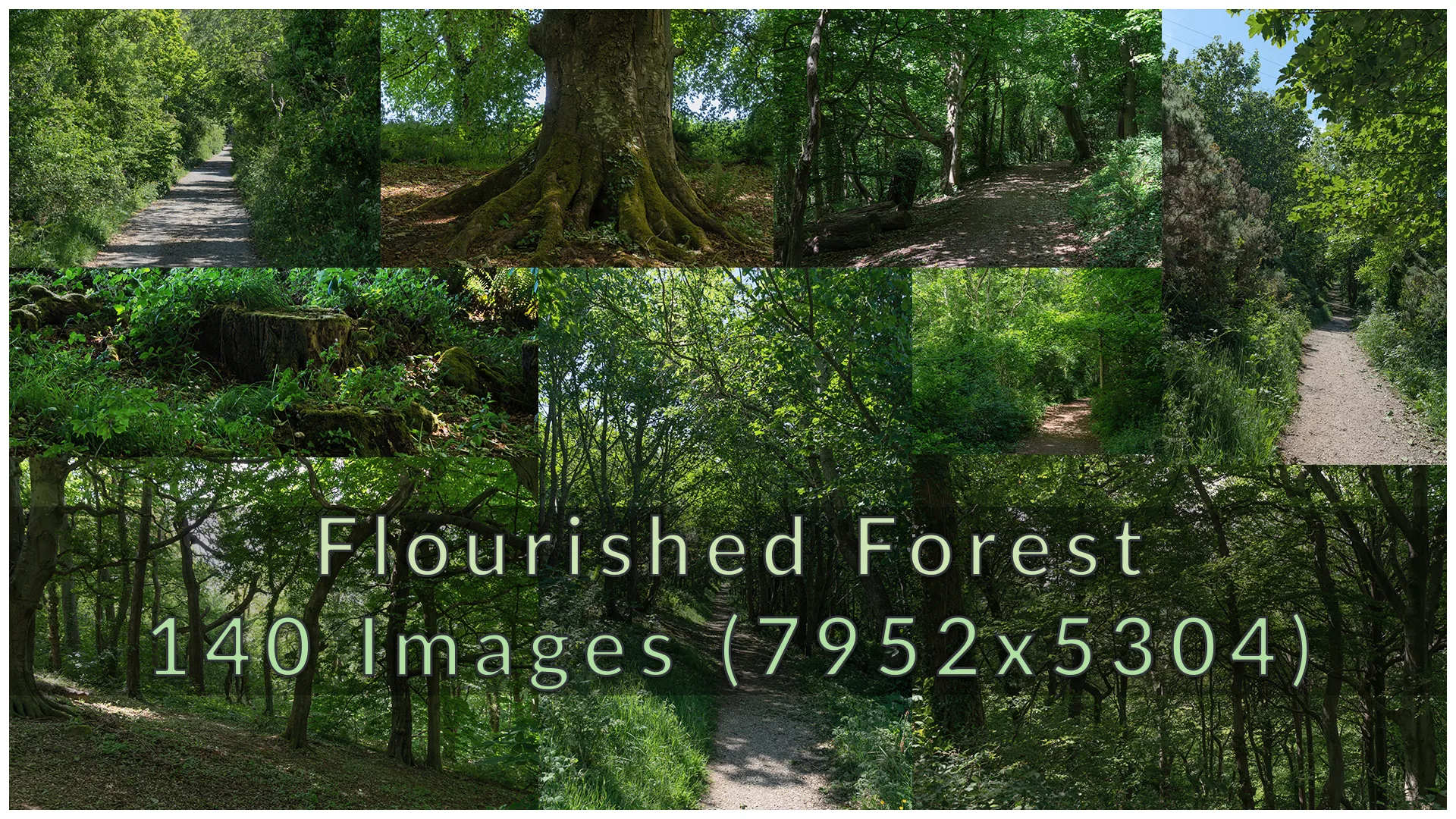 Flourished Forest Photopack - 140 Images