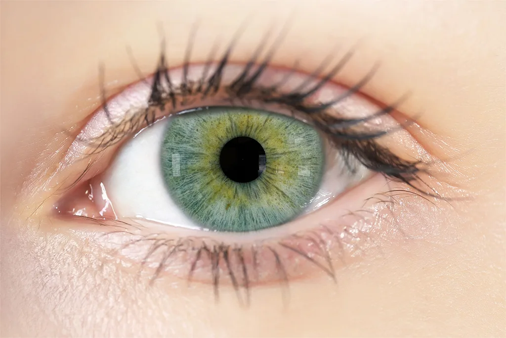 Eye Iris Texture Maps - Vol 01