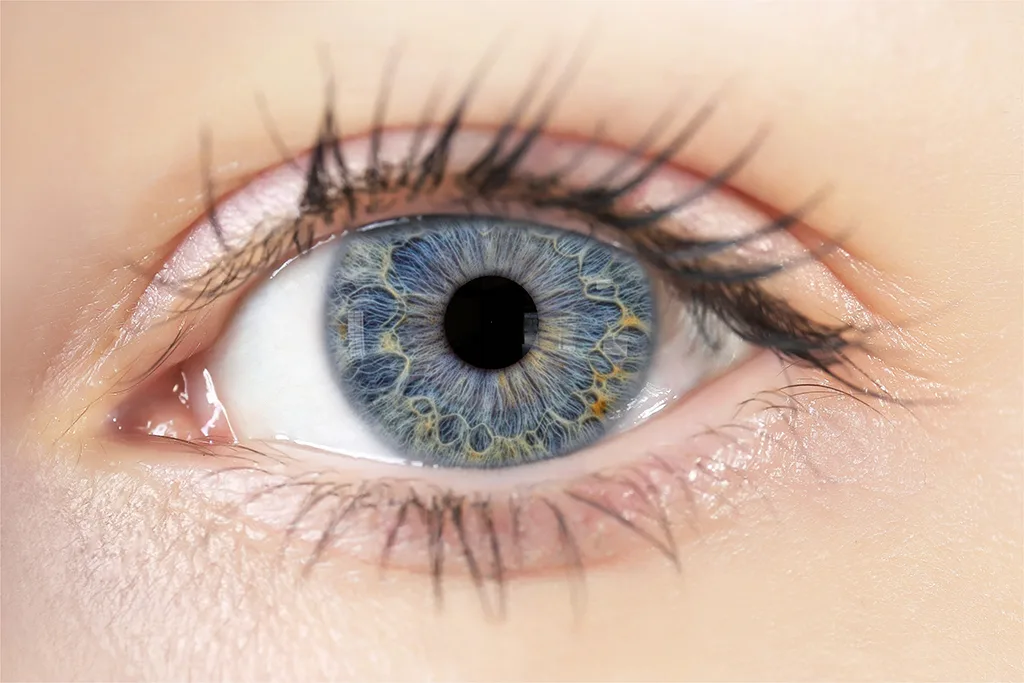 Eye Iris Texture Maps - Vol 01