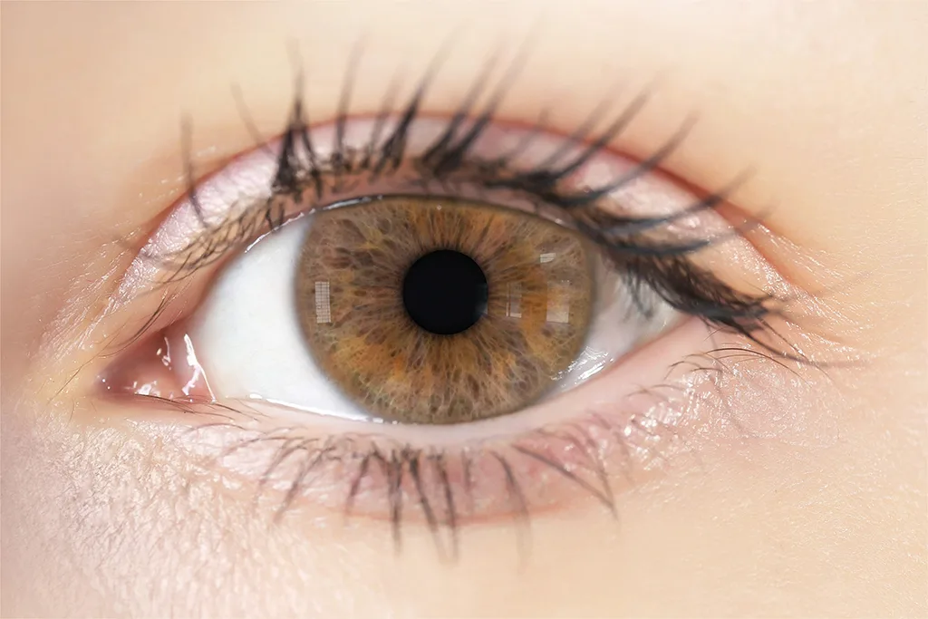 Eye Iris Texture Maps - Vol 02