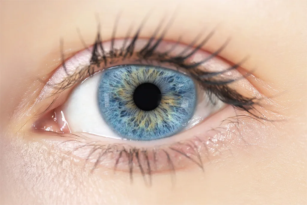 Eye Iris Texture Maps - Vol 02