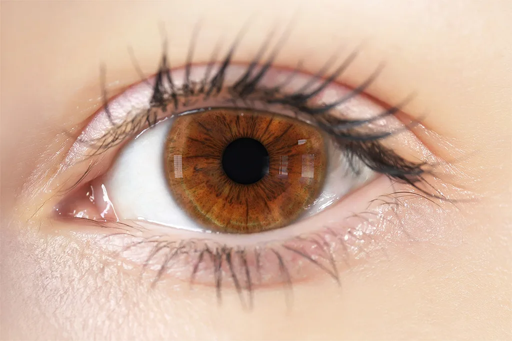 Eye Iris Texture Maps - Vol 02