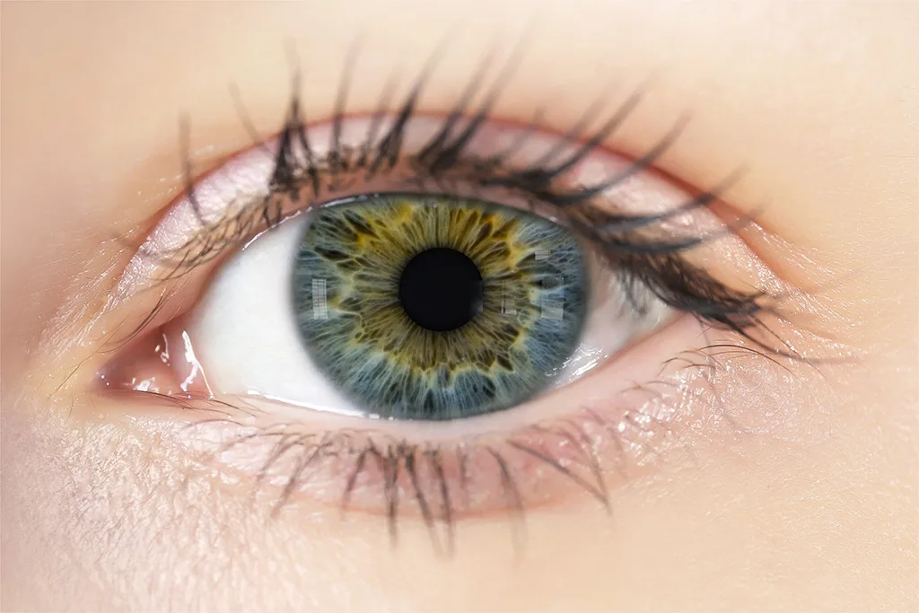 Eye Iris Texture Maps - Vol 02