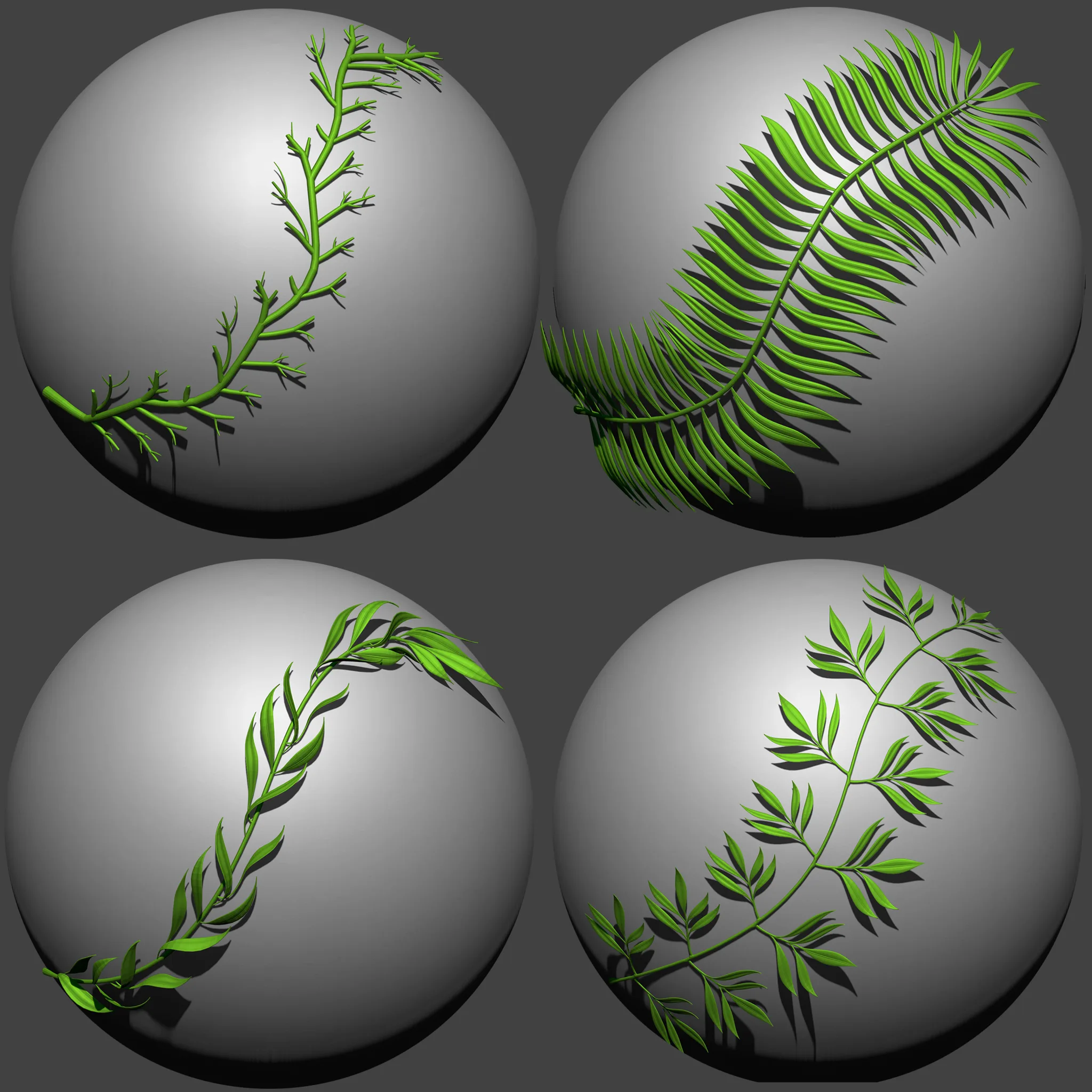 30 Plant Curve Brushes