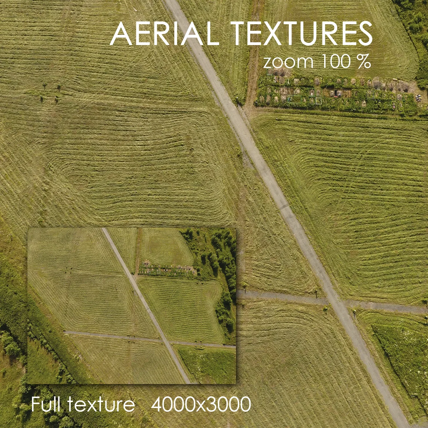 Aerial Texture 55