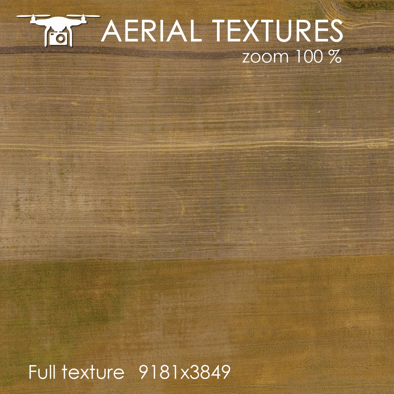 Aerial Texture 141