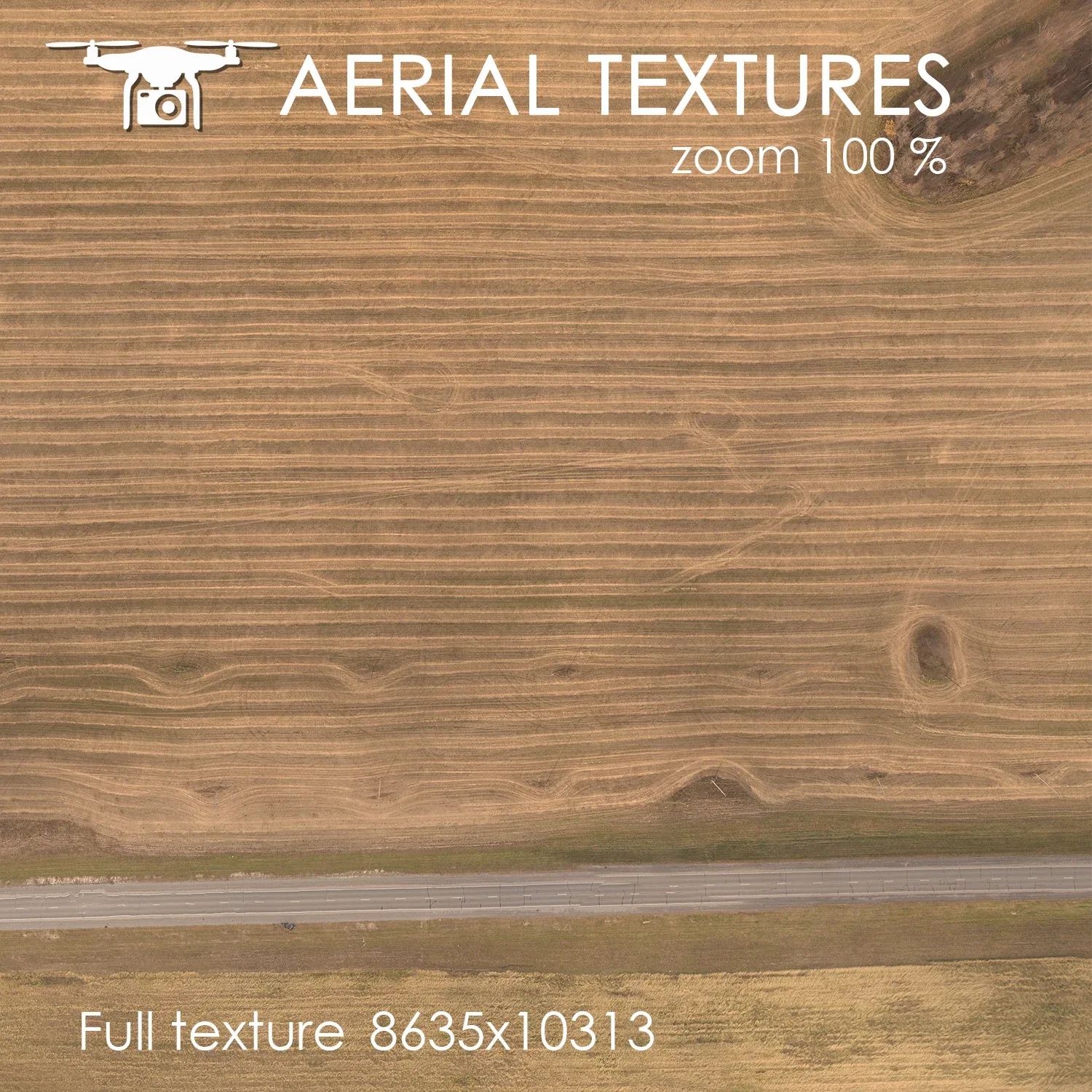 Aerial Texture 244