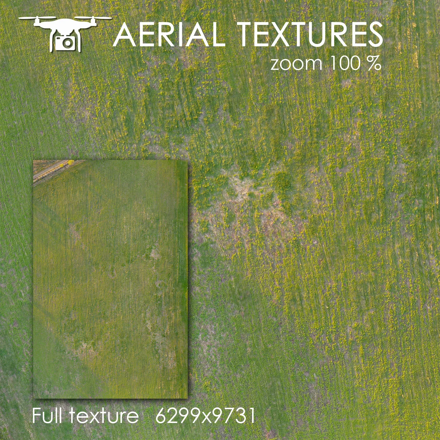 Aerial Texture 259