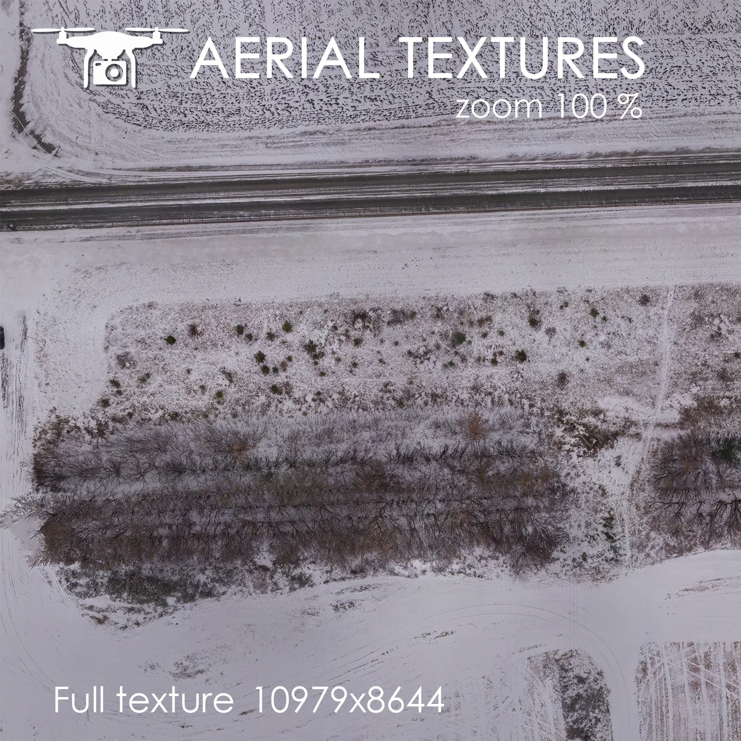 Aerial Texture 269
