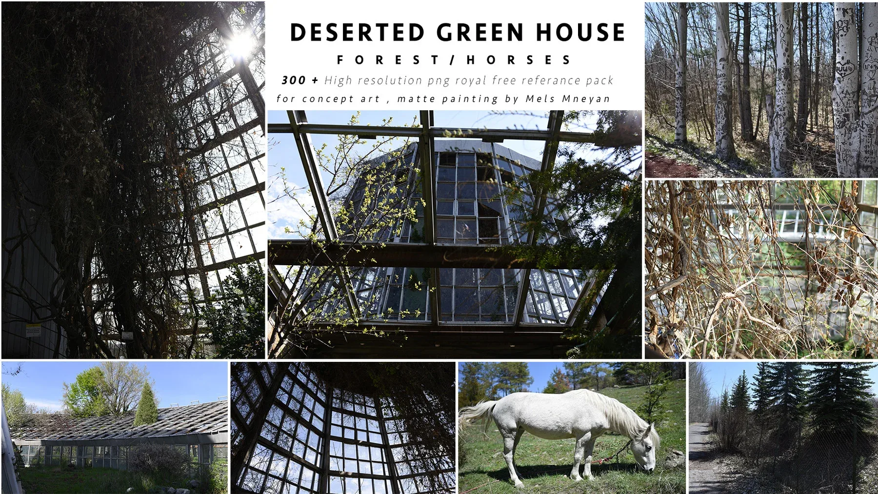 Deserted Green House / Forest / Horses Reference Pack