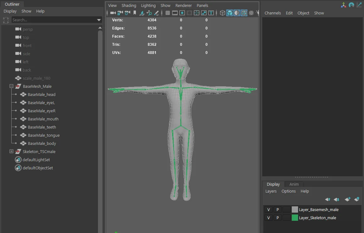 Male Basemesh - Rigged