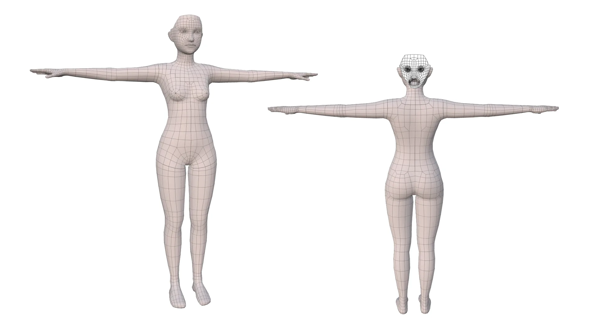 Female Basemesh - Rigged