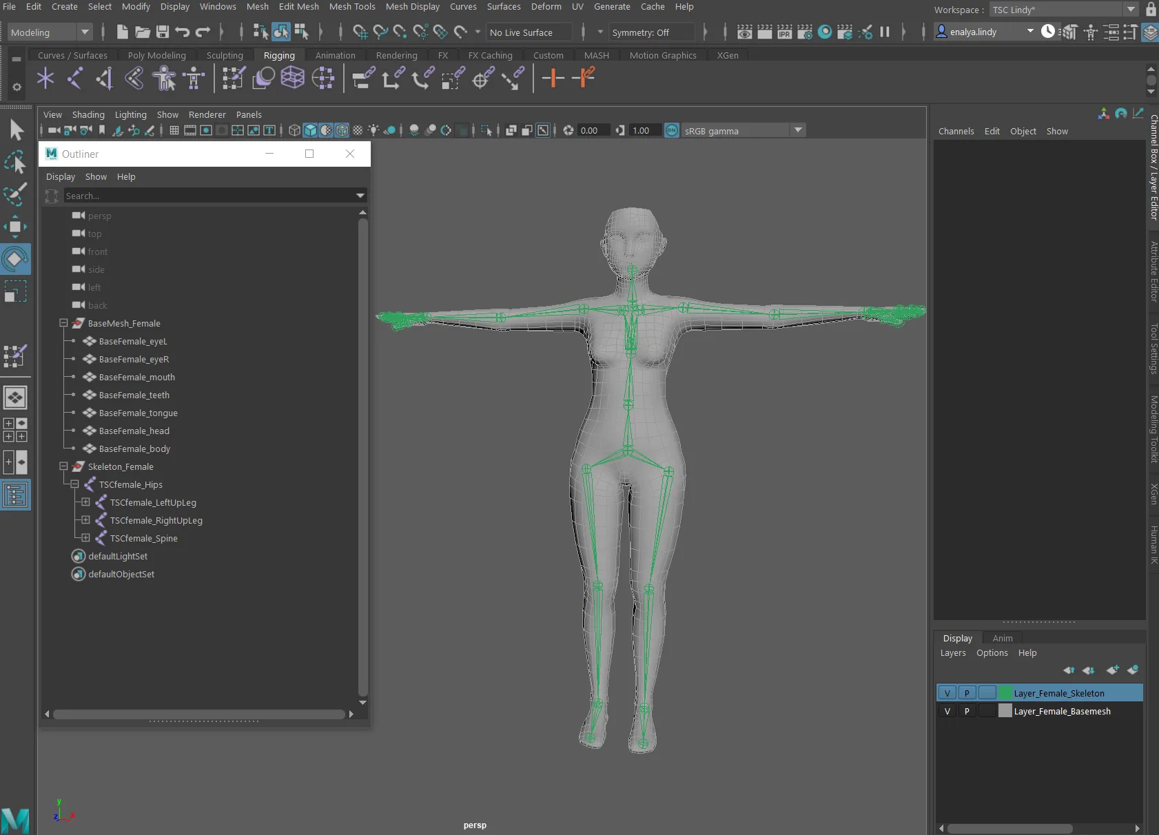 Female Basemesh - Rigged