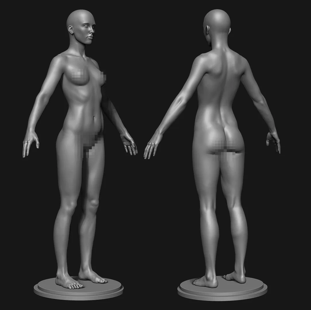 Realistic Female Body