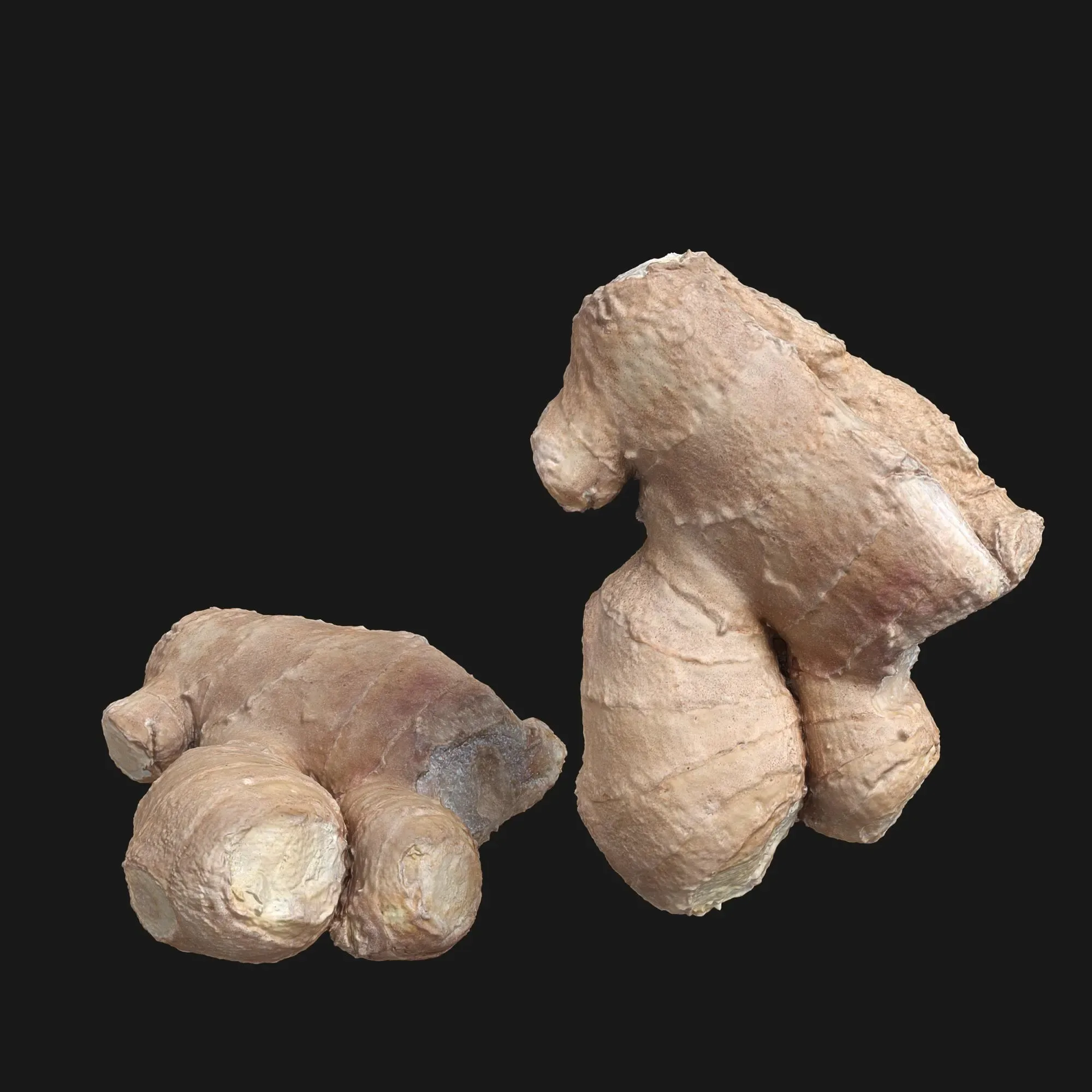 Ginger Photorealistic 3D Model