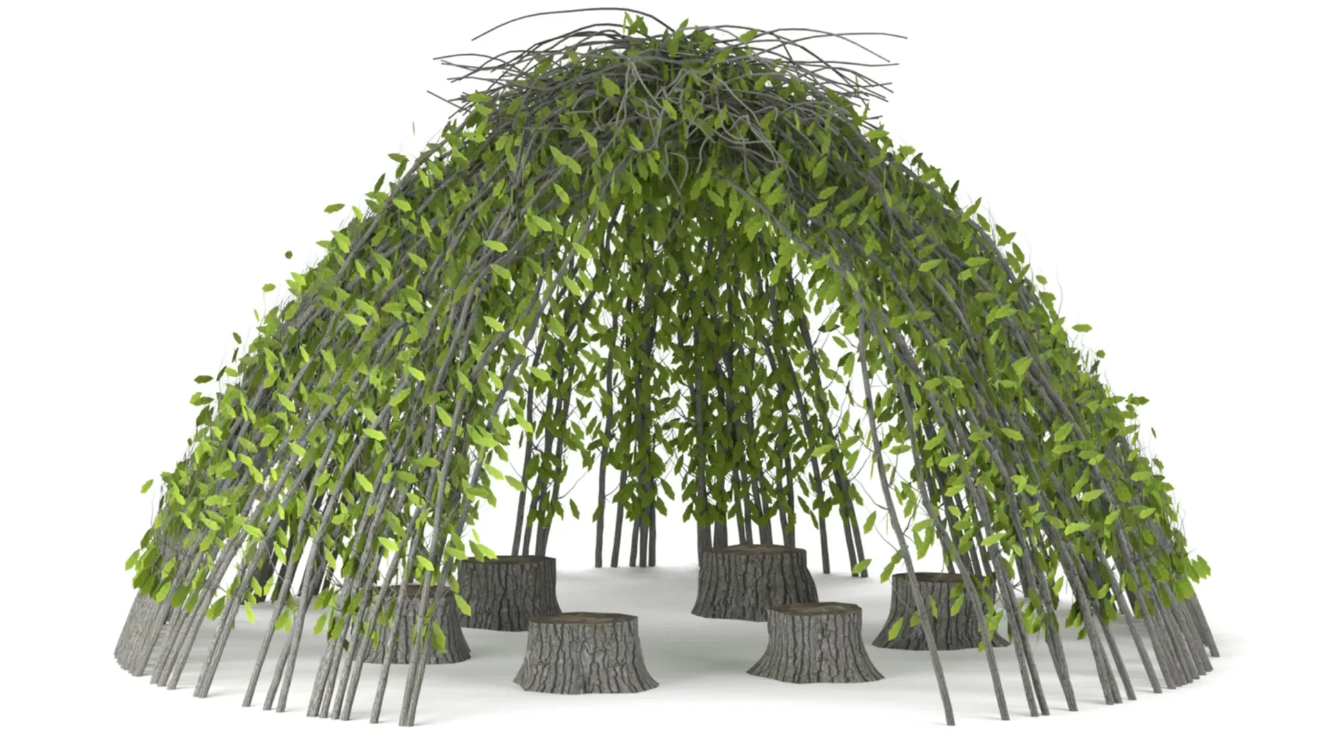 Garden Design