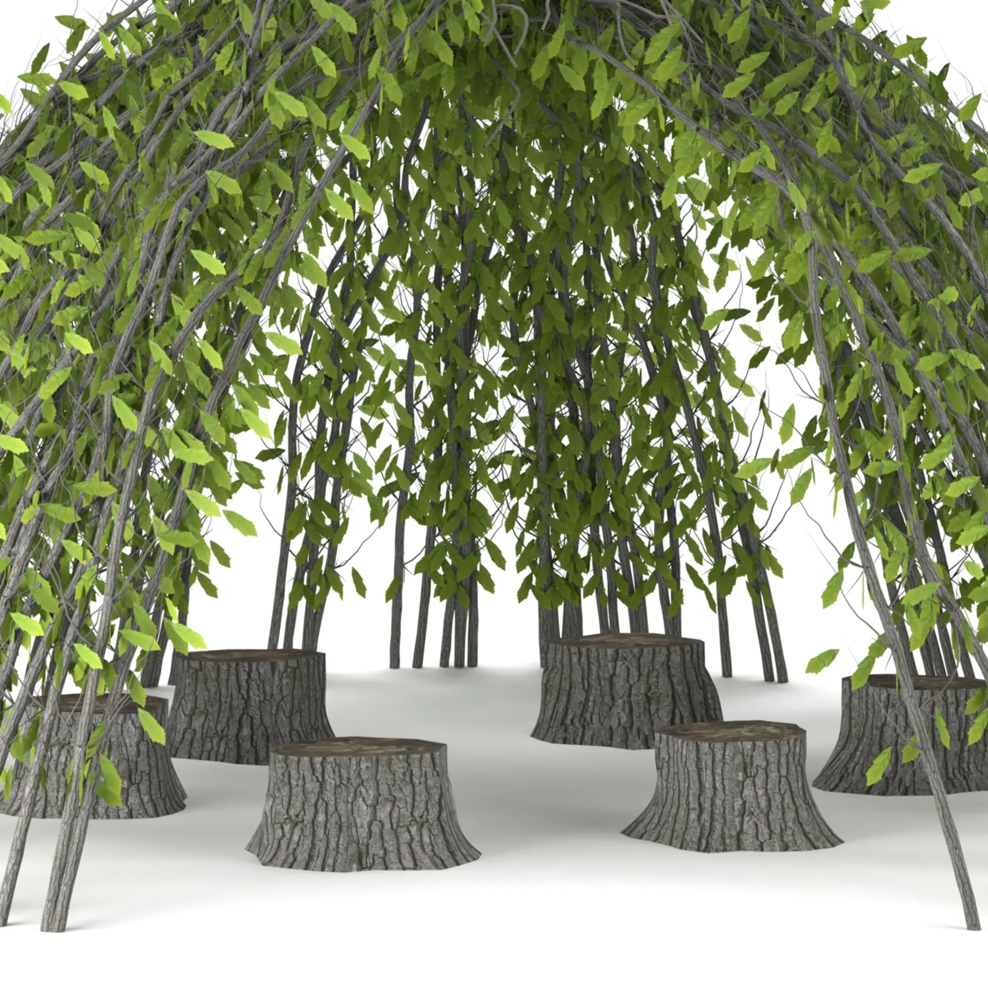 Garden Design