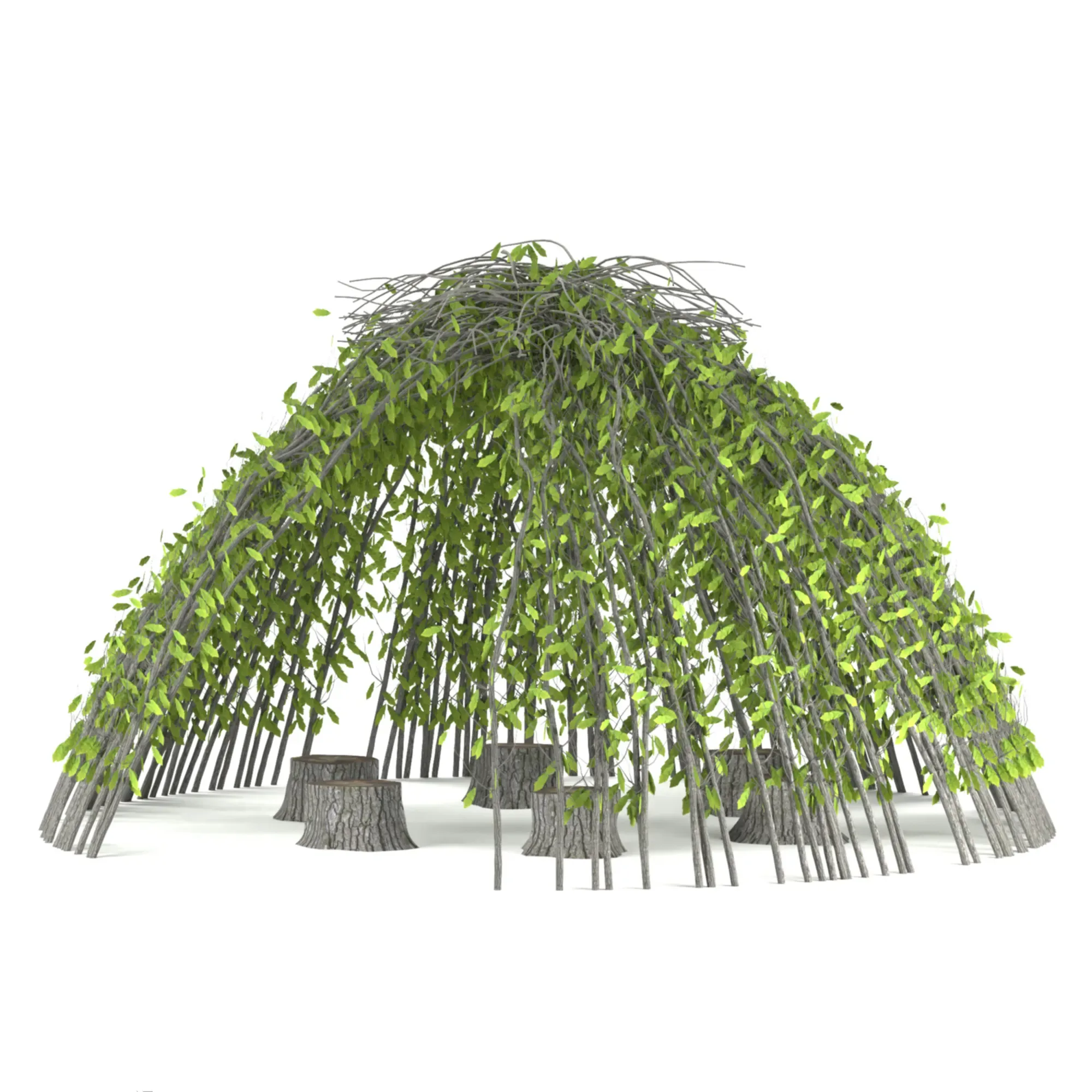 Garden Design