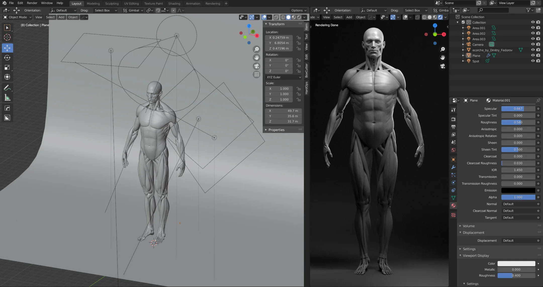 Anatomy Model Ecorche + Blender RENDER Scene