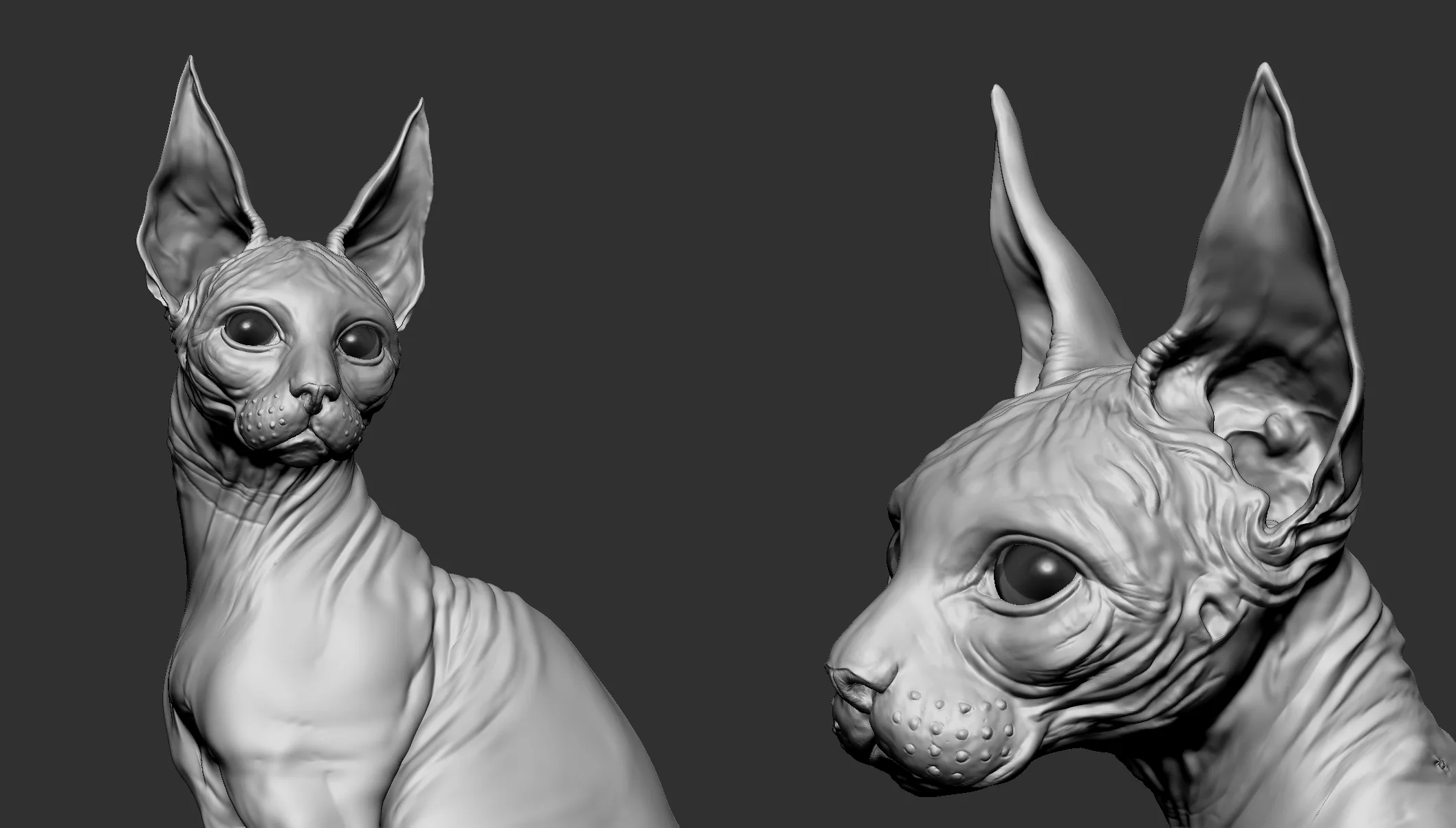 Sphinx Cat Tutorial