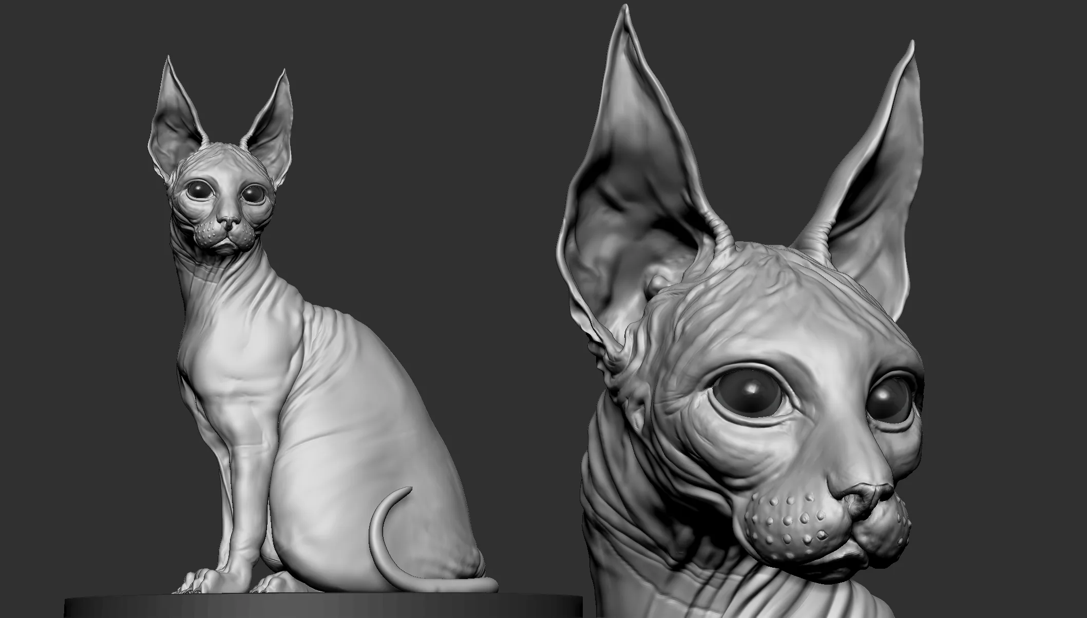 Sphinx Cat Tutorial