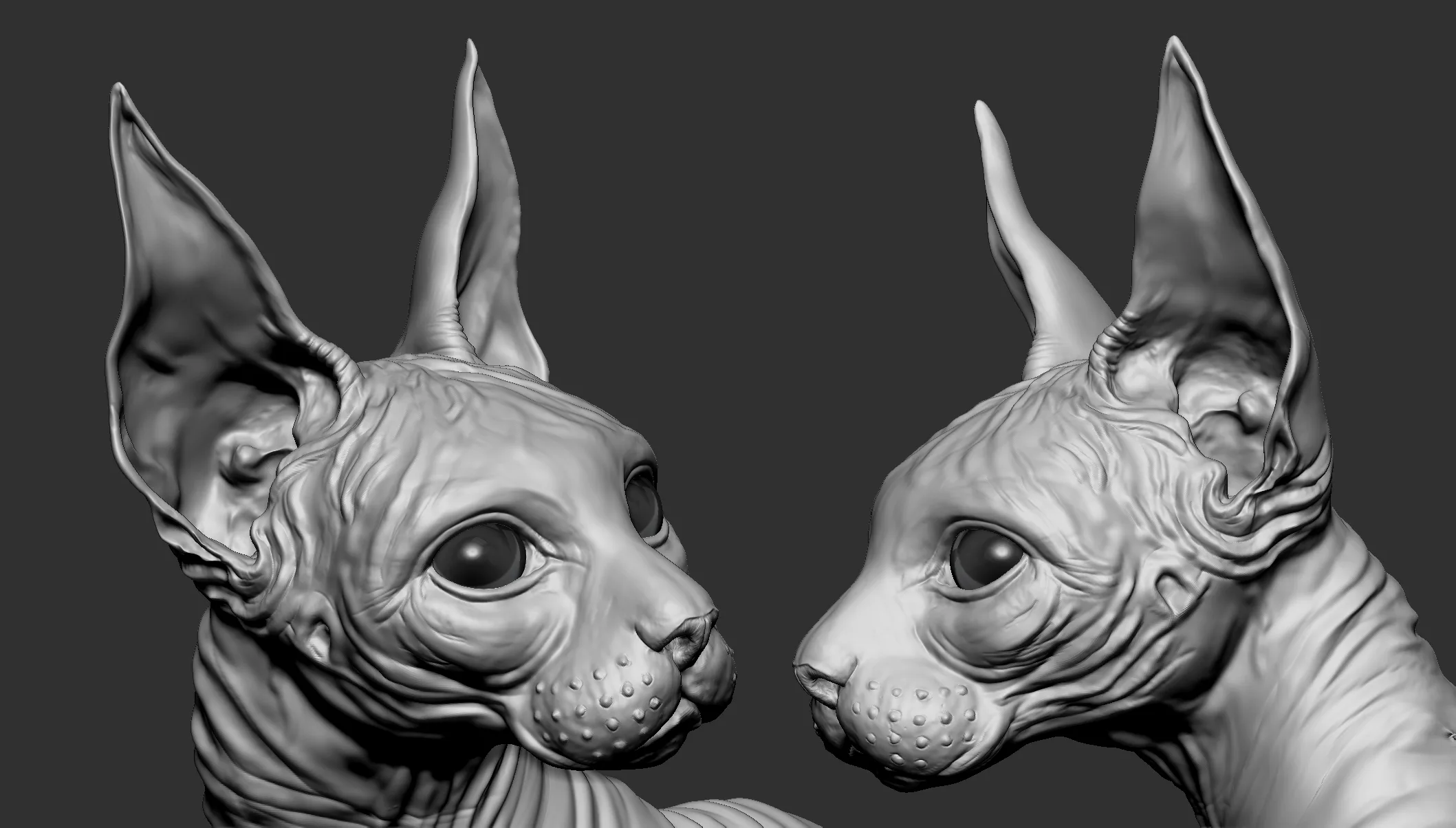 Sphinx Cat Tutorial