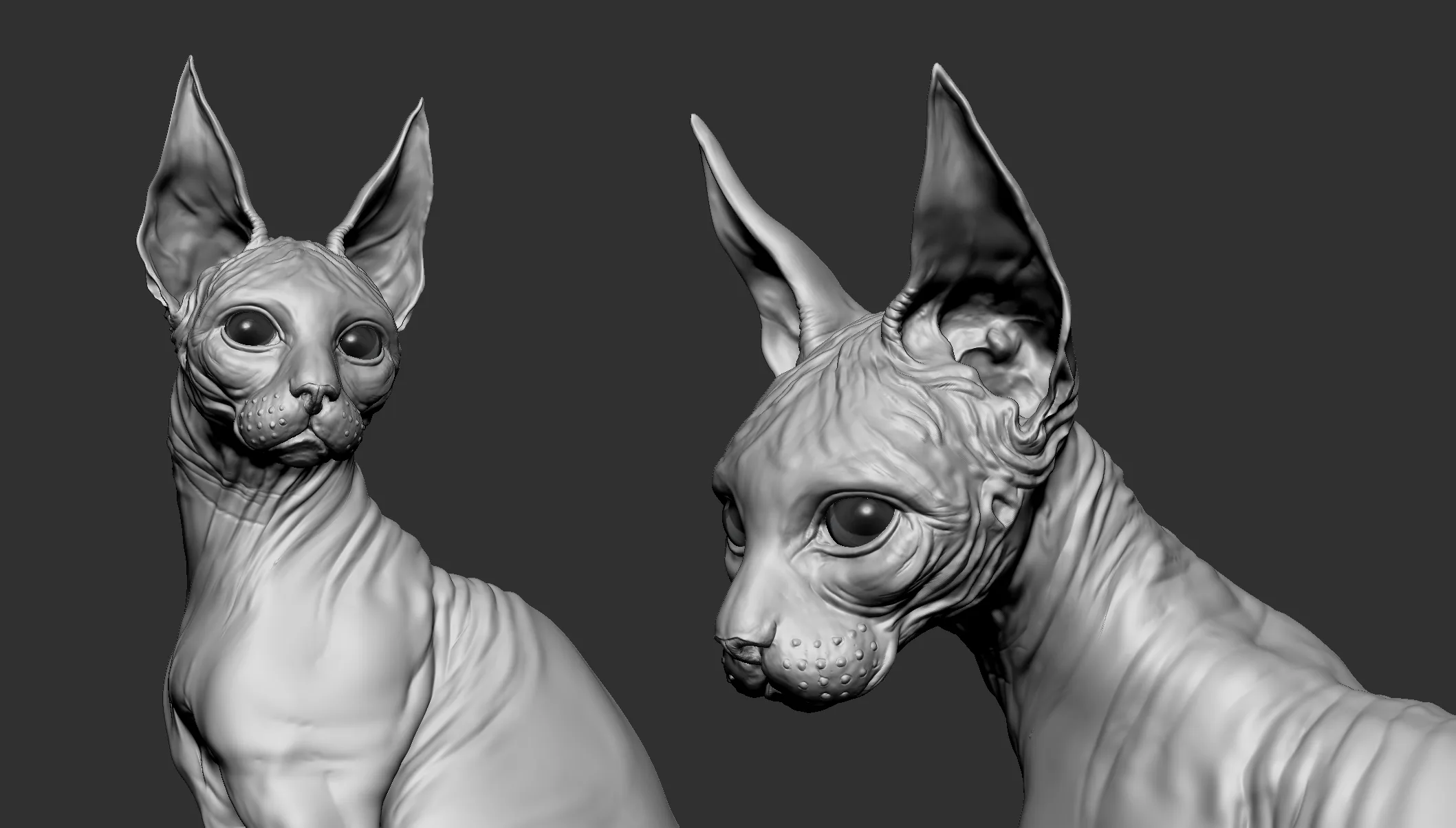 Sphinx Cat Tutorial