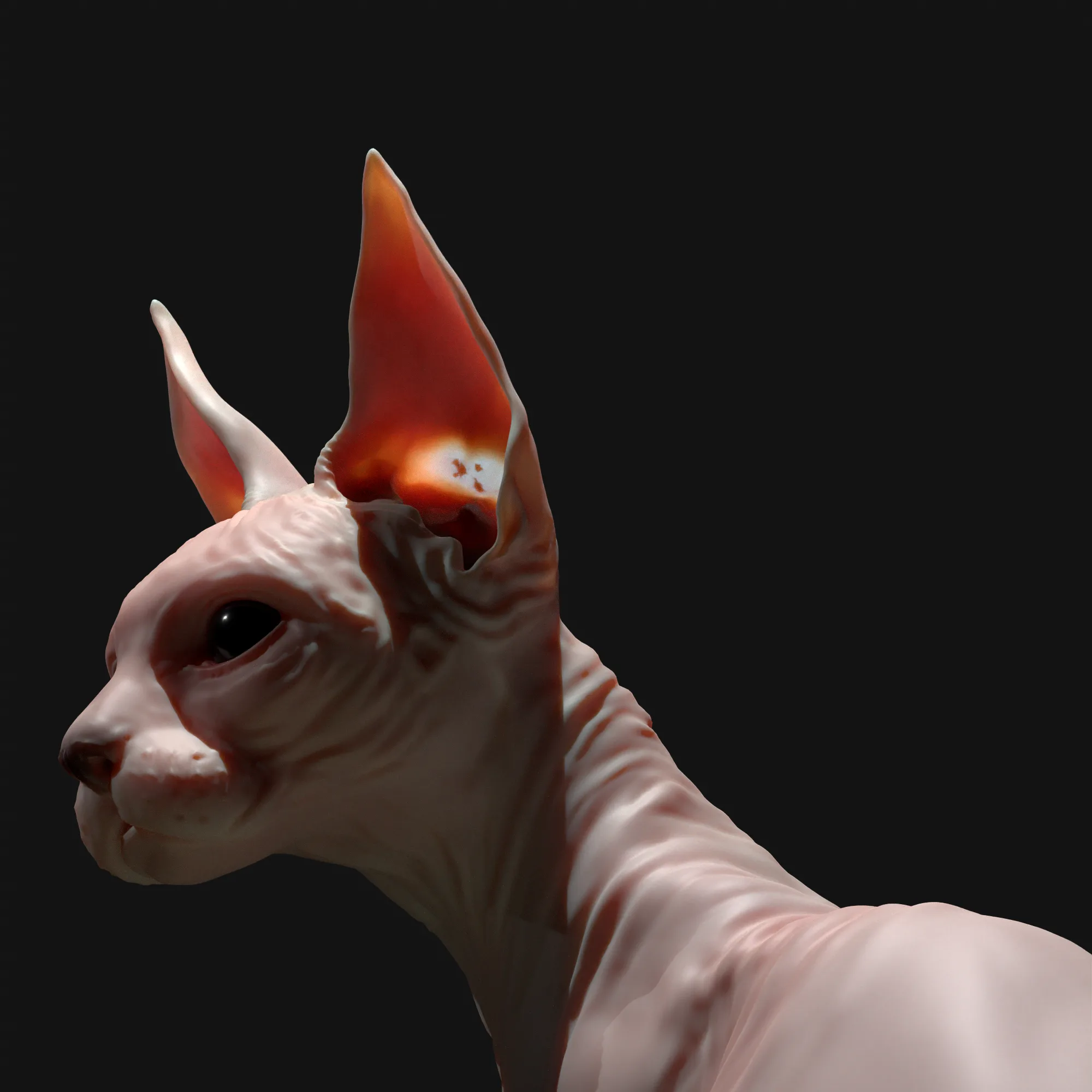 Sphinx Cat Tutorial