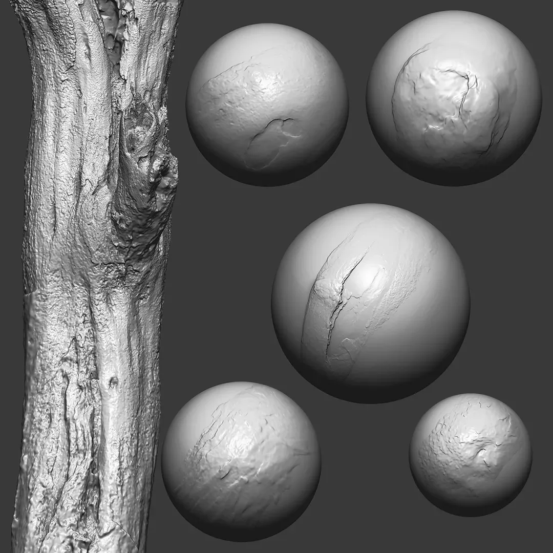 Trunk Detail Brushes Vol.4