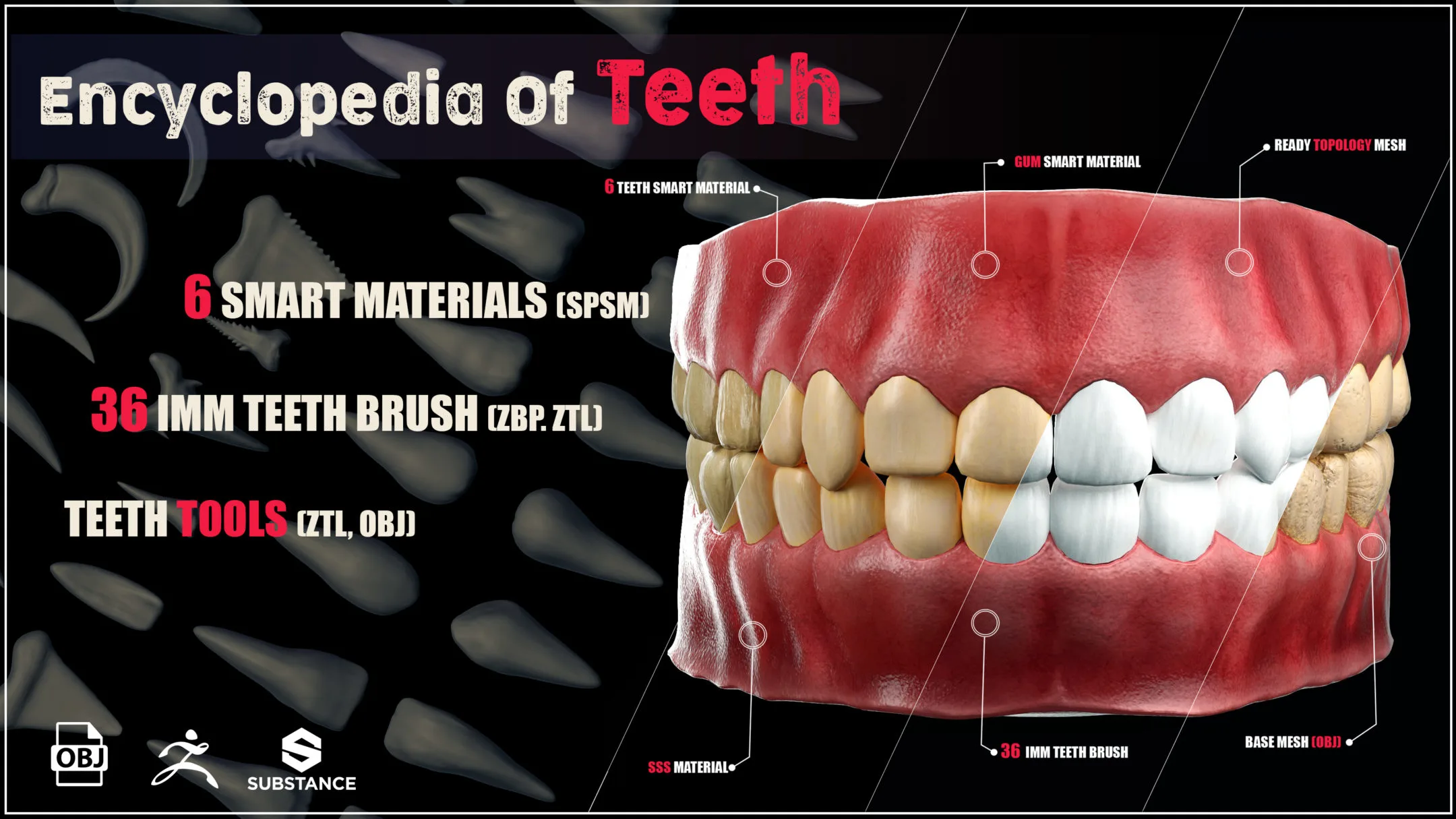 Encyclopedia Of Teeth