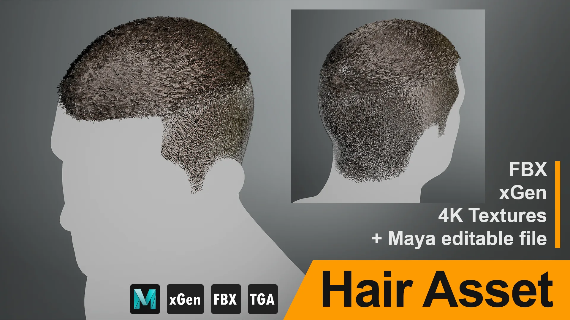 Realtime Hair Asset "V" - FBX/xGen + Maya Source File, 4K Textures