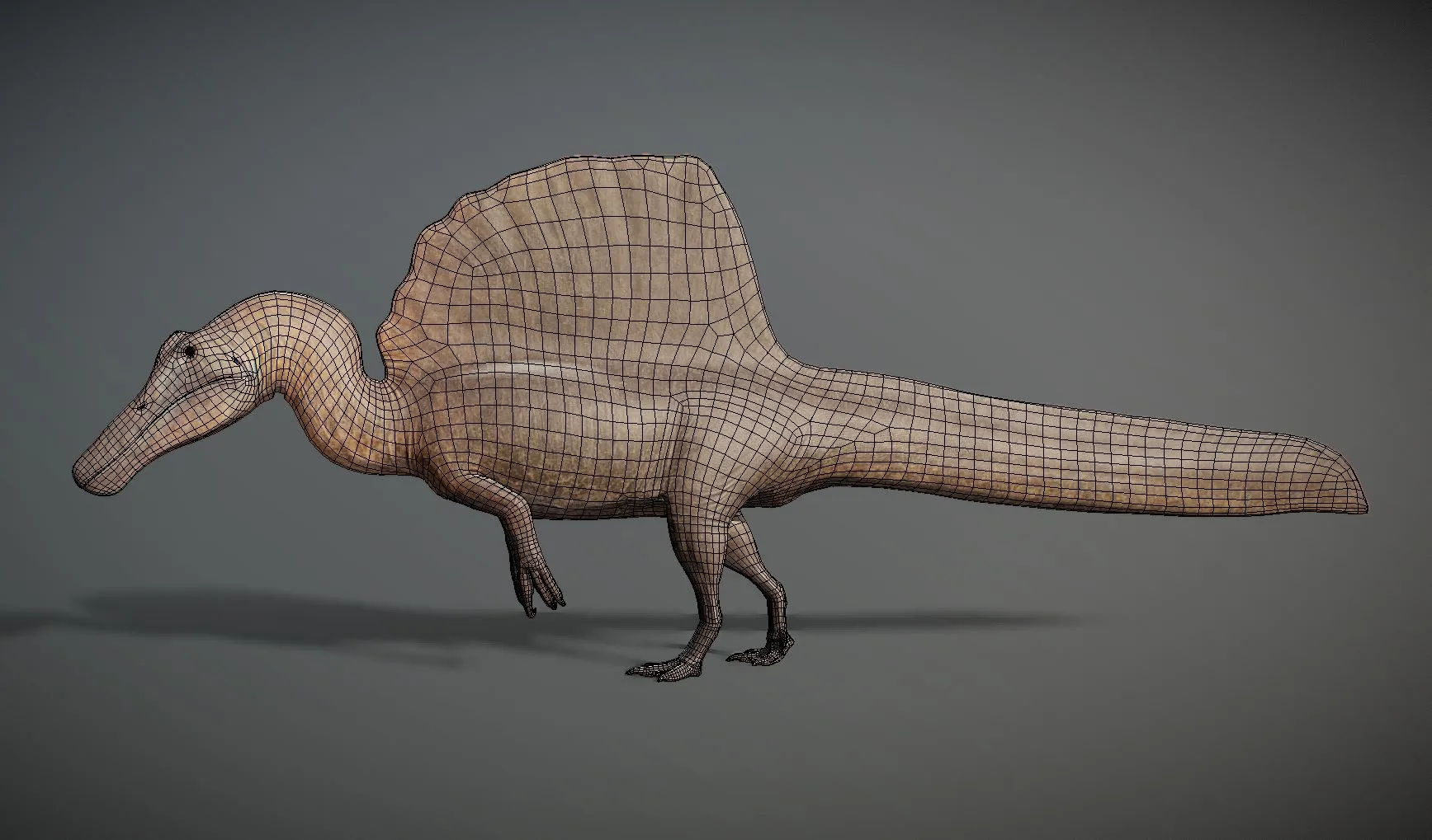 Spinosaurus Aegyptiacus Reconstruction