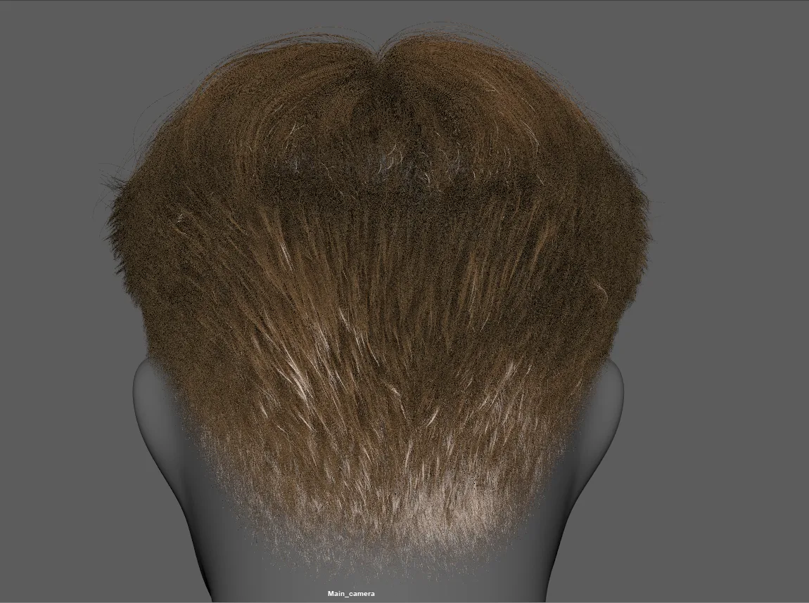 XGEN Complete Grooming Workflow (SHORT HAIR)