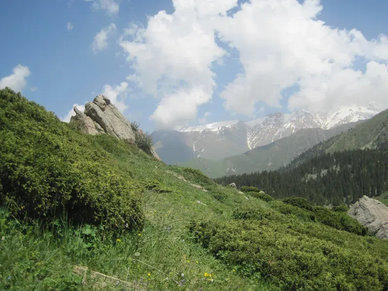 Mountains & Nature Vol 1