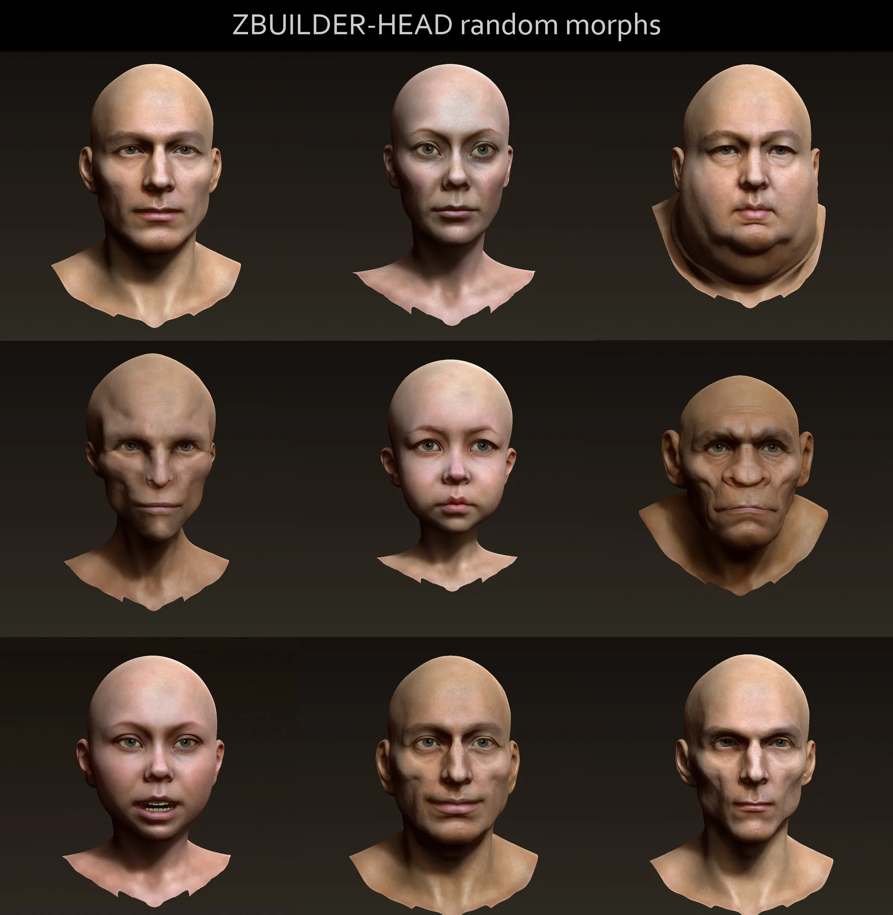 Human Zbuilder - Head