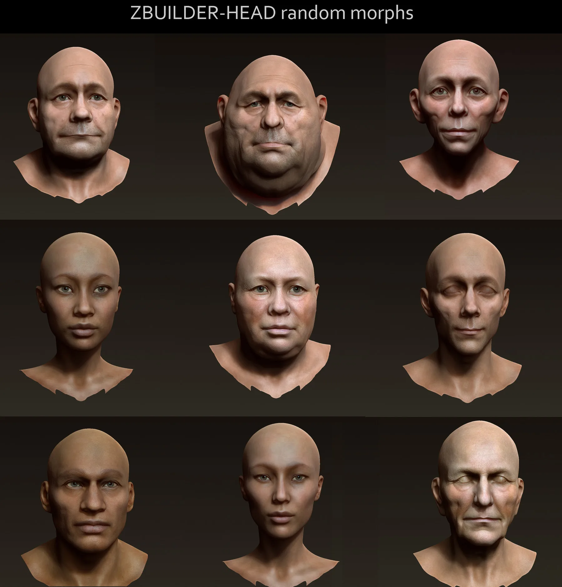 Human Zbuilder - Head