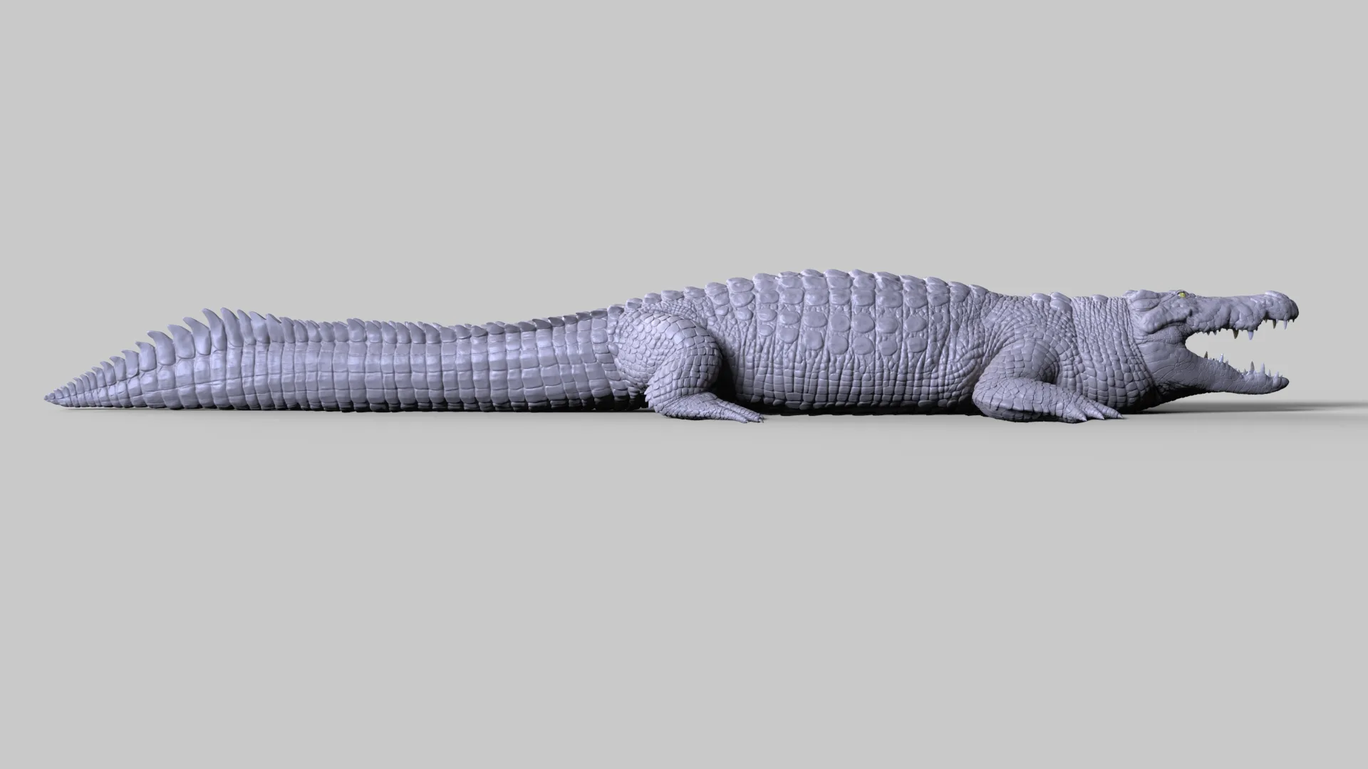 Production Quality Nile Crocodile 3D Model & ZBrush Sculpt