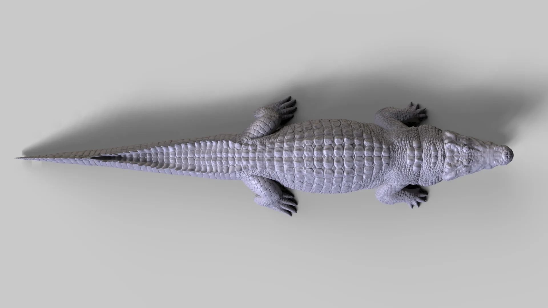 Production Quality Nile Crocodile 3D Model & ZBrush Sculpt